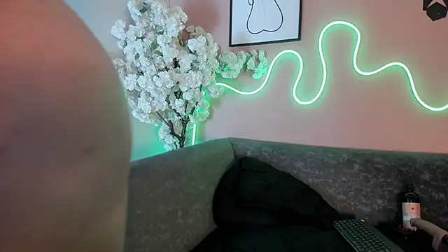 karo_linee1 webcam