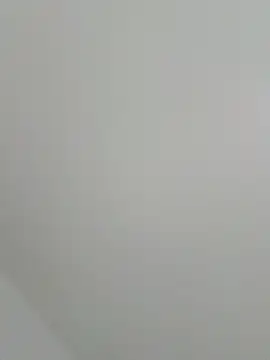AlaskanCornpone webcam