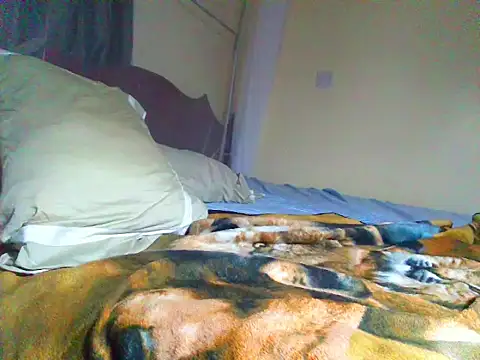 pregoruth webcam