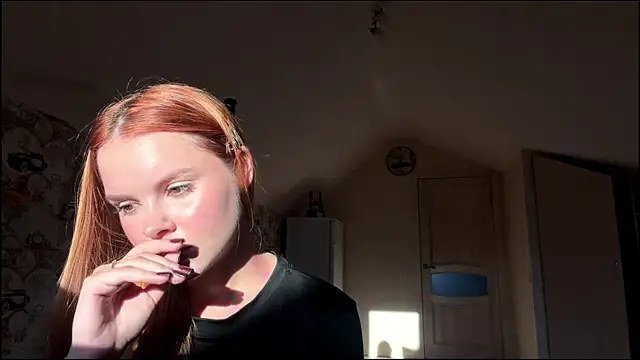 nelesa webcam