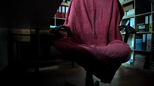 leccaleccafiga webcam
