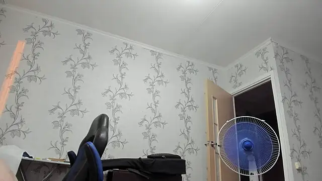 SanFrantsisko webcam
