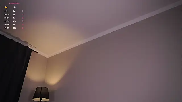 SageWillmott webcam