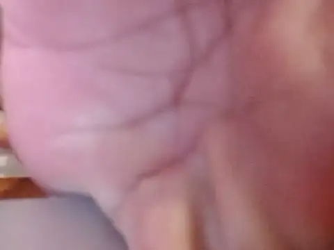 Palatable69-VN webcam
