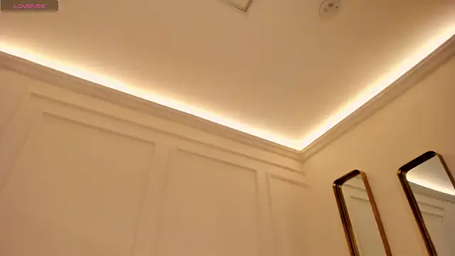 NovaSinclairX webcam