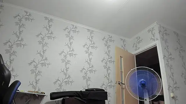 SanFrantsisko webcam
