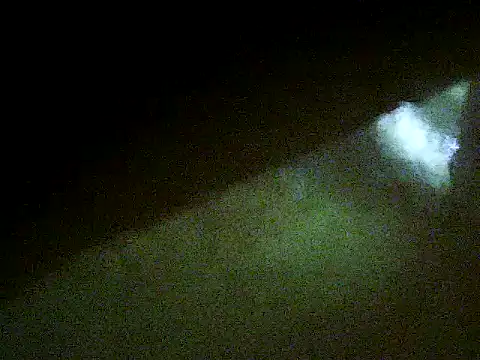 flayeyena webcam