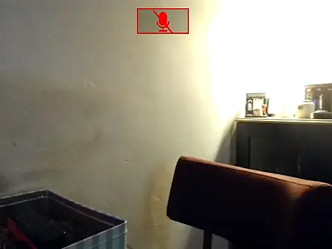 Hgay6935 webcam