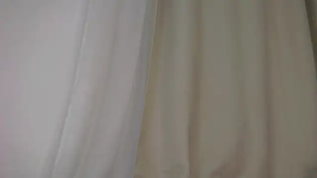 JanelleBrown_ webcam