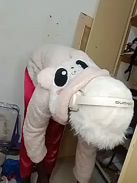 BlackPearl_19 webcam