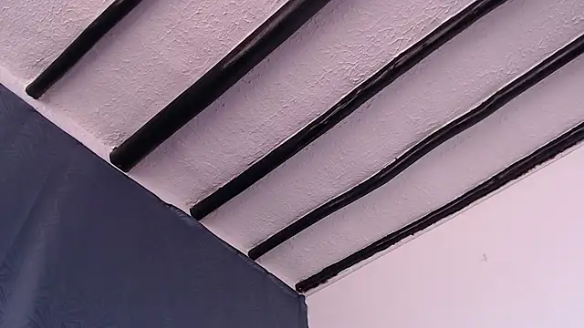 Freyja_eter webcam