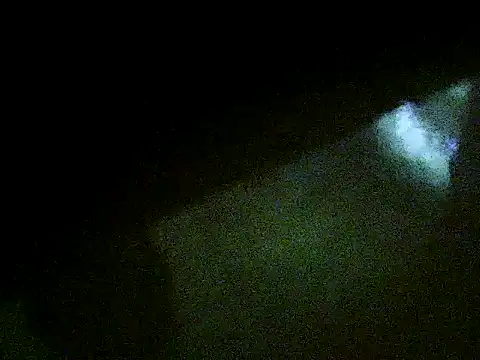 flayeyena webcam