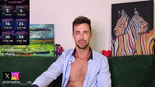 Promethe_us webcam