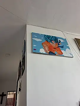 IrisBound webcam