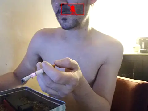 Hgay6935 webcam