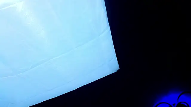 PerryKitty webcam