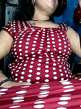 Delhi_Patola