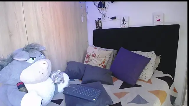 Santiago_kiler webcam