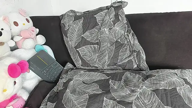 Eirlysx webcam