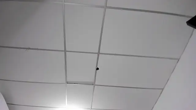 honeyhtx live cam on StripChat