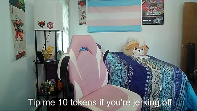VanFairy526