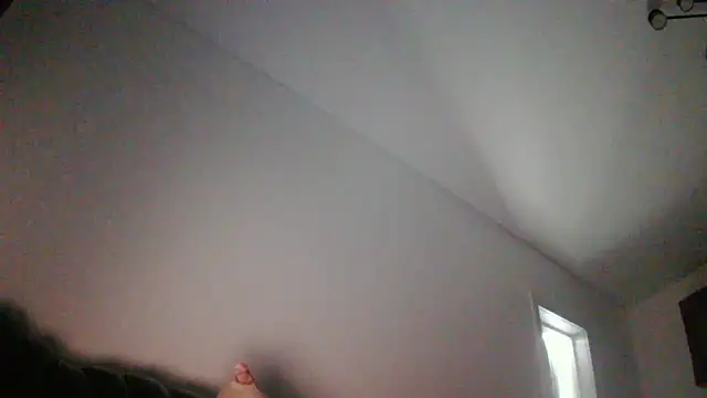 PollyStix webcam