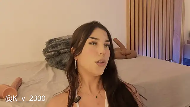 sofiesoft webcam