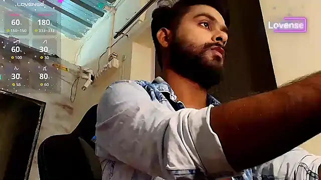 SilverShade3 webcam