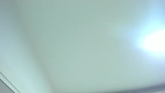 TaylorBloom webcam
