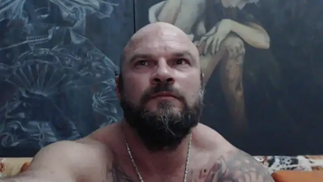viking_30 webcam