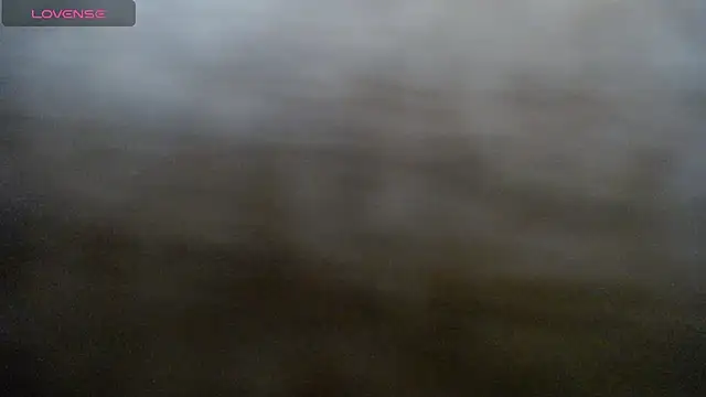 DAPHNE_doll webcam