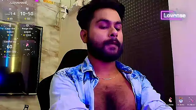 SilverShade3 webcam