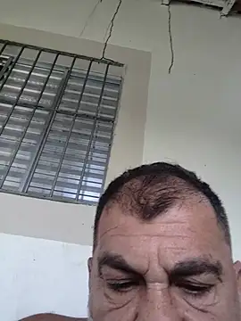 Peludo173317
