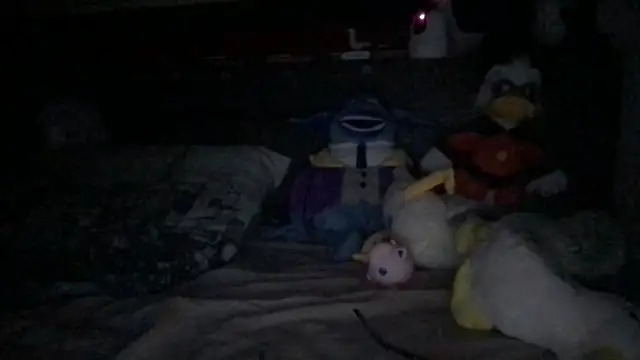Rosetrou31 webcam