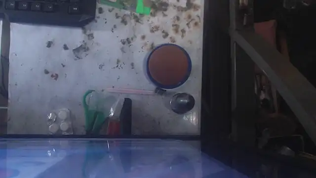 michaeldissts webcam