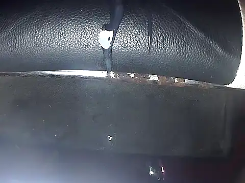 Precumking1 webcam