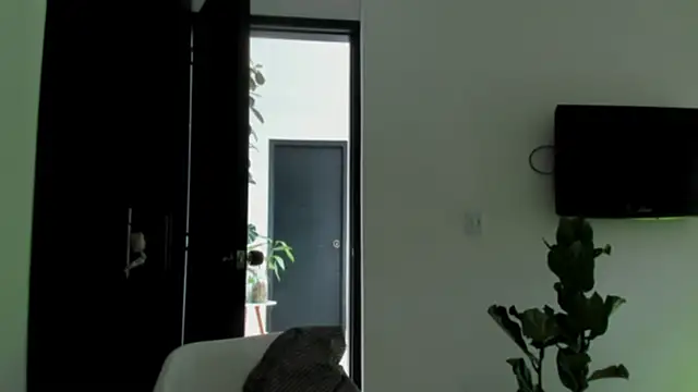 xreeeeviz webcam