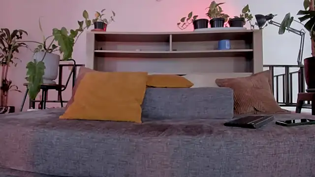 bruno_woods webcam