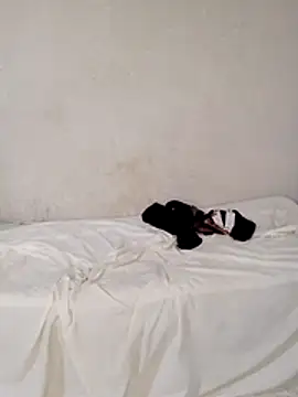 Royrot1234 webcam