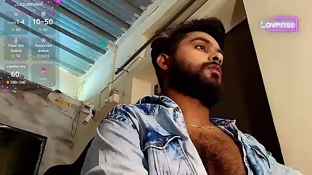SilverShade3 webcam