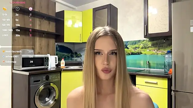 YelledBlink webcam