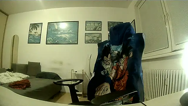 Robert_SK1 webcam