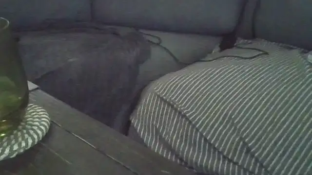 Slinkypoppet webcam