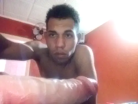 Bendesbi webcam