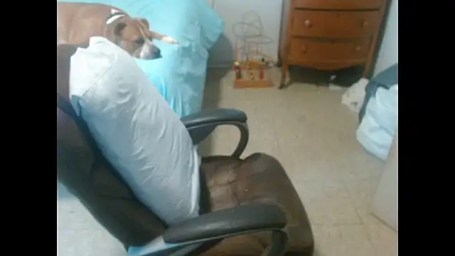 DADDY_KANE8--- webcam