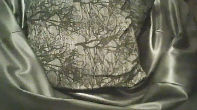 ben51200 webcam