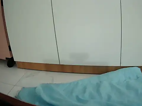 Ana_2023 webcam