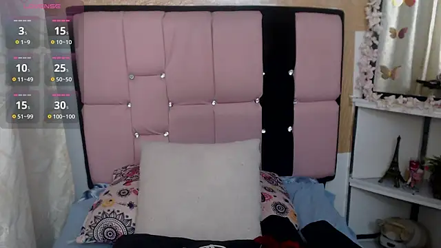 palmer_mIix webcam