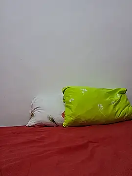 altinya live cam