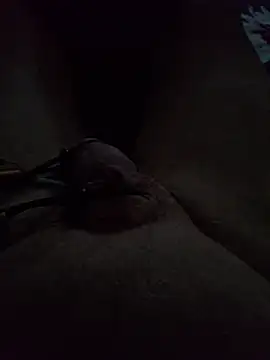 minnetird live cam